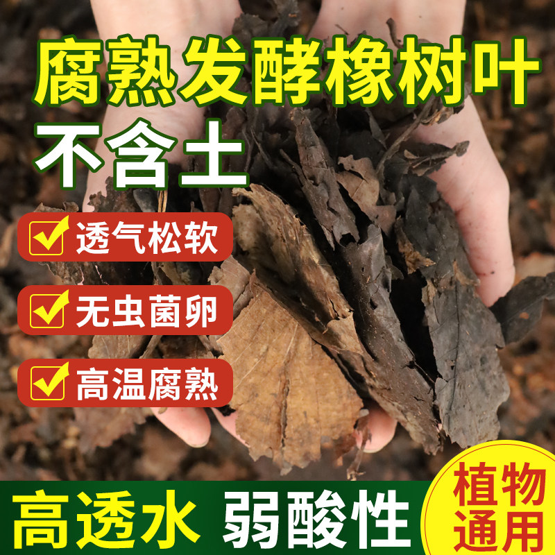 腐熟纯橡树叶君子兰专用有机腐叶土天然腐熟纯松针兰花专用营养土
