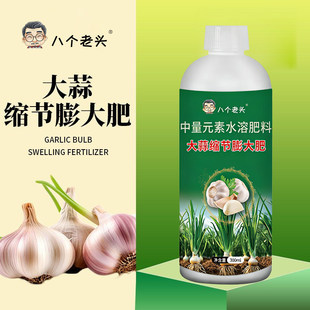 大蒜缩节彭大肥专用控旺茎秆粗壮蒜头大中量元素水溶肥防干尖黄叶