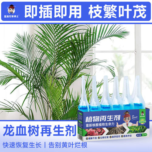 龙血树专用肥料植物再生剂盆栽花卉绿植通用营养液防黄叶烂根花肥