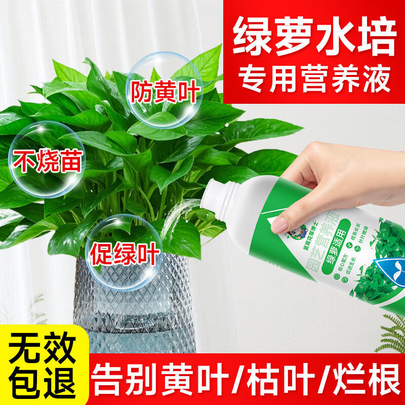 绿萝营养液水培专用肥料盆栽养花通用型防黄叶绿叶植物花卉营养液