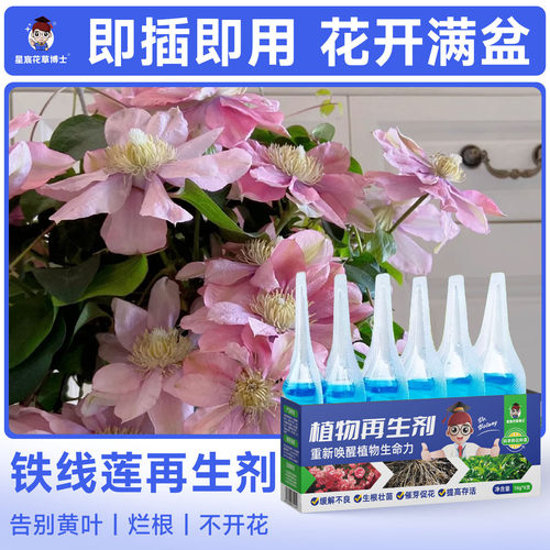 铁线莲专用肥植物再生剂家用盆栽花卉绿植通用营养液防黄叶开花肥