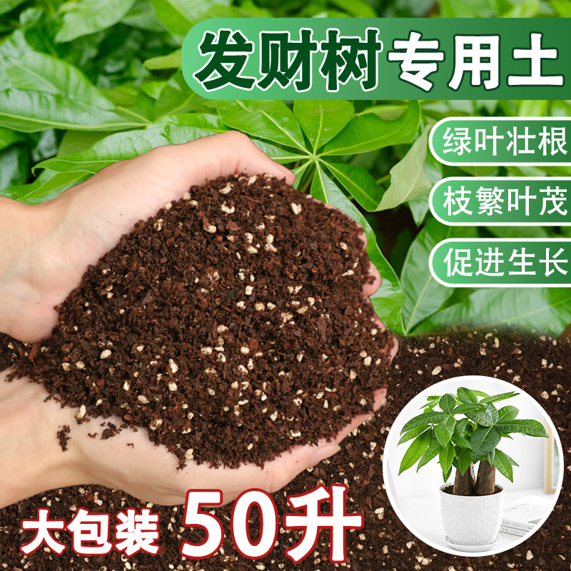 发财树专用土营养土花土发财树肥料专用肥土家用盆栽绿植种植土壤