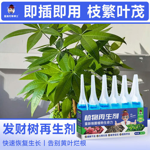 发财树专用肥料植物再生剂家用盆栽绿植花卉防黄叶烂根通用营养液