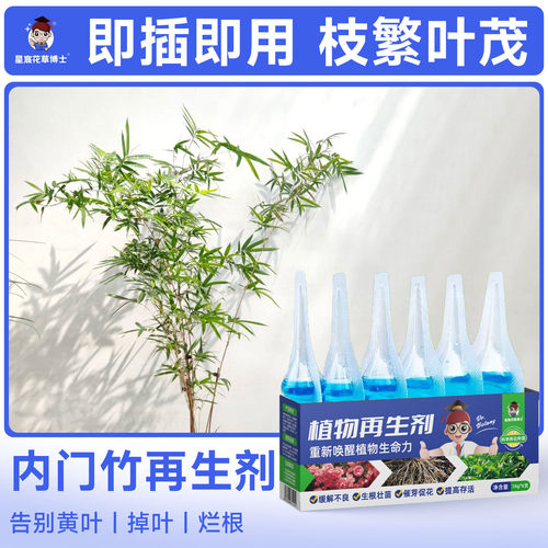 内门竹专用肥料植物再生剂浓缩营养液家用盆栽种植竹子通用防黄叶