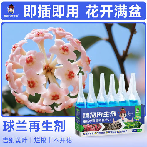 球兰专用肥料植物再生剂家用盆栽种植营养液兰花多箭花卉开花肥料