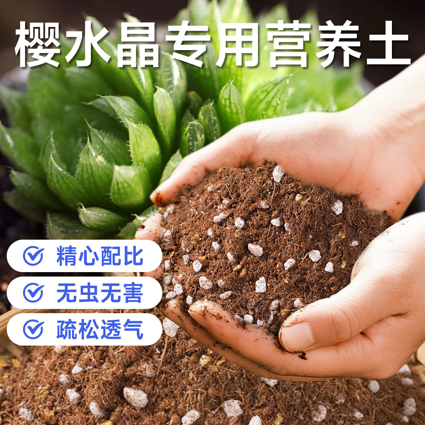 樱水晶营养土多肉通用专用阳台养花用的盆栽土壤防烂根有机泥炭土图片