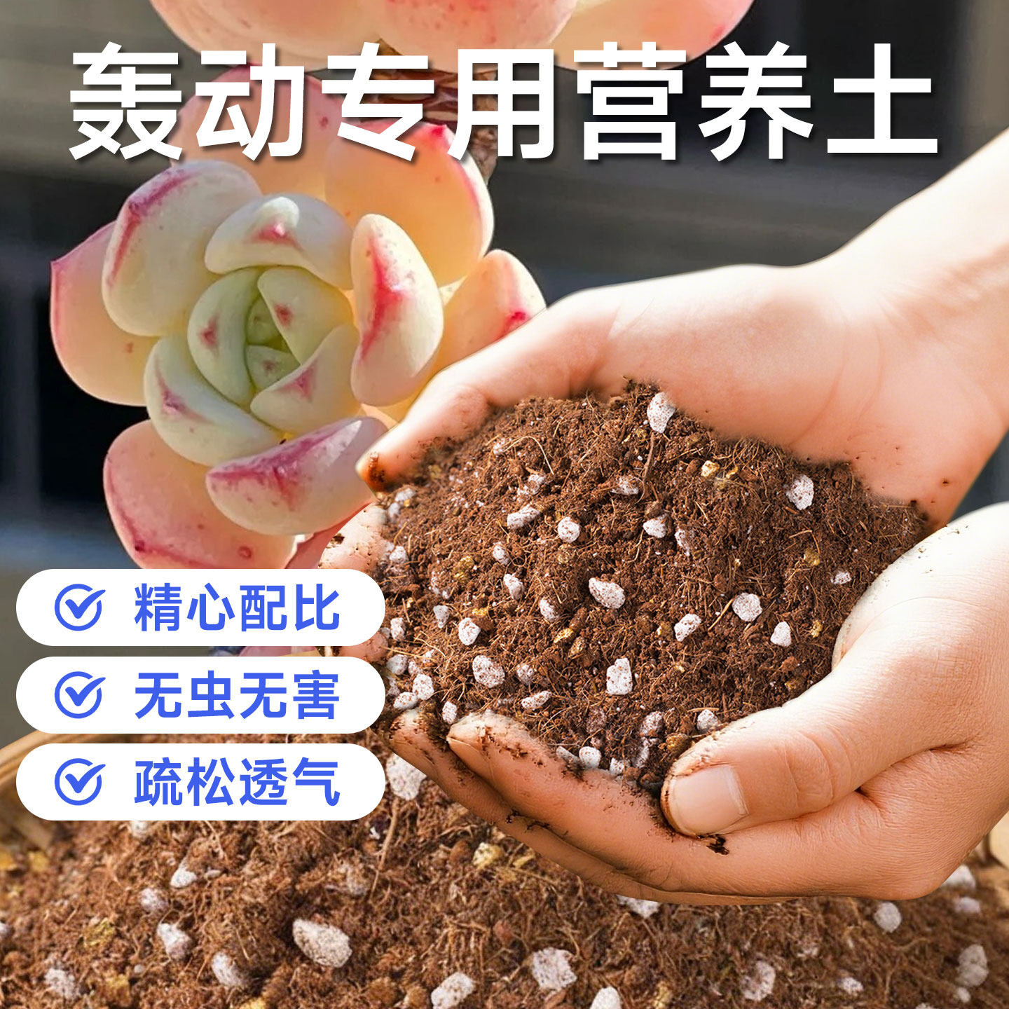 轰动专用营养土阳台盆栽养多肉通用专用透气防烂根的有机泥炭花土