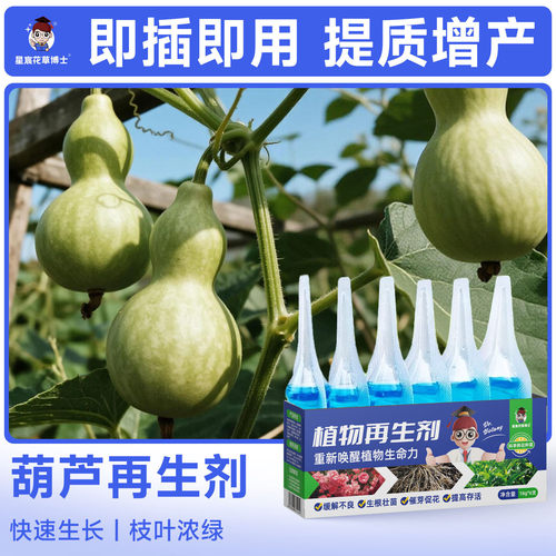 葫芦专用肥料植物再生剂盆栽种植营养液果树增产果实膨大通用花肥