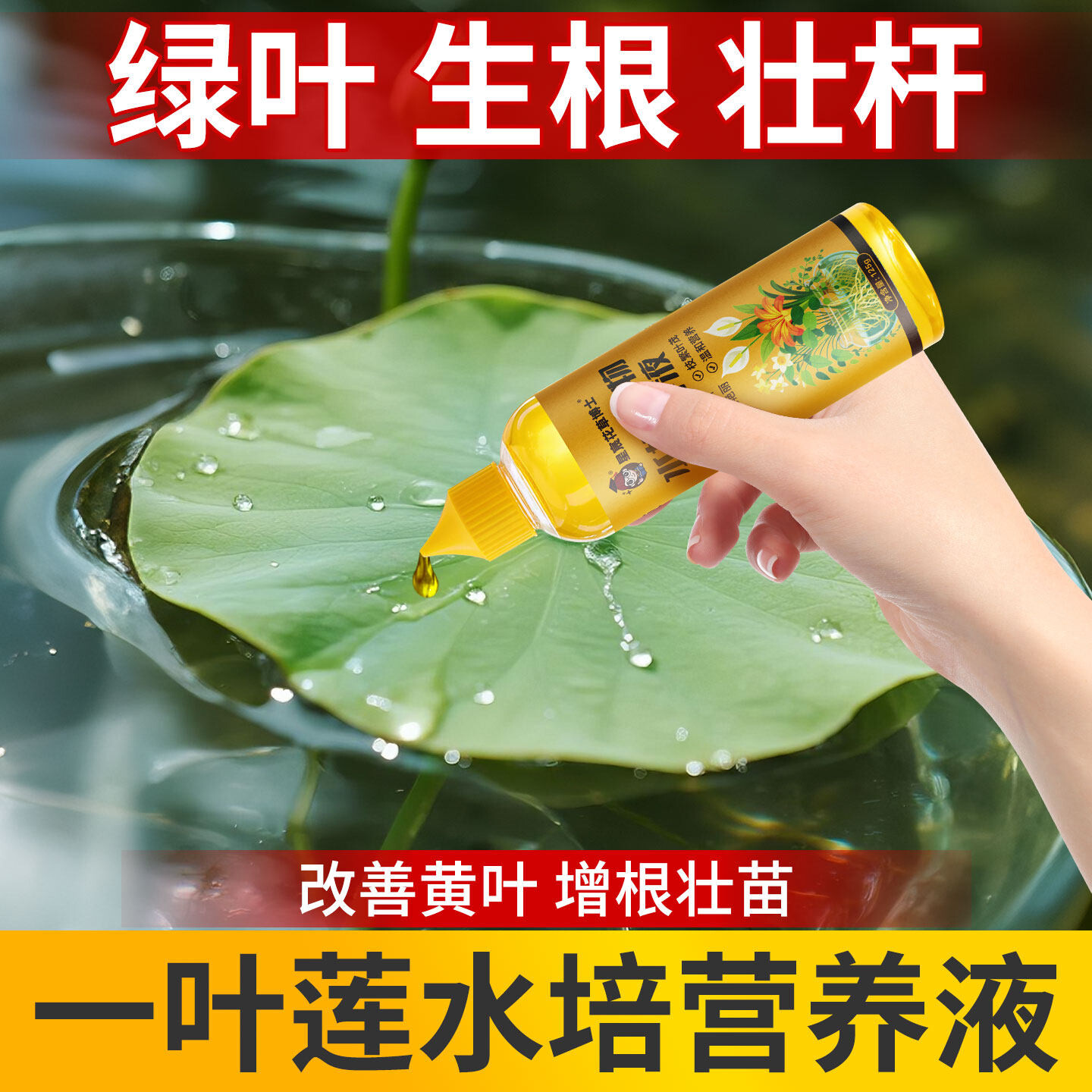水培一叶莲专用营养液碗莲睡莲荷花防黄叶通用型养花花肥家用肥料