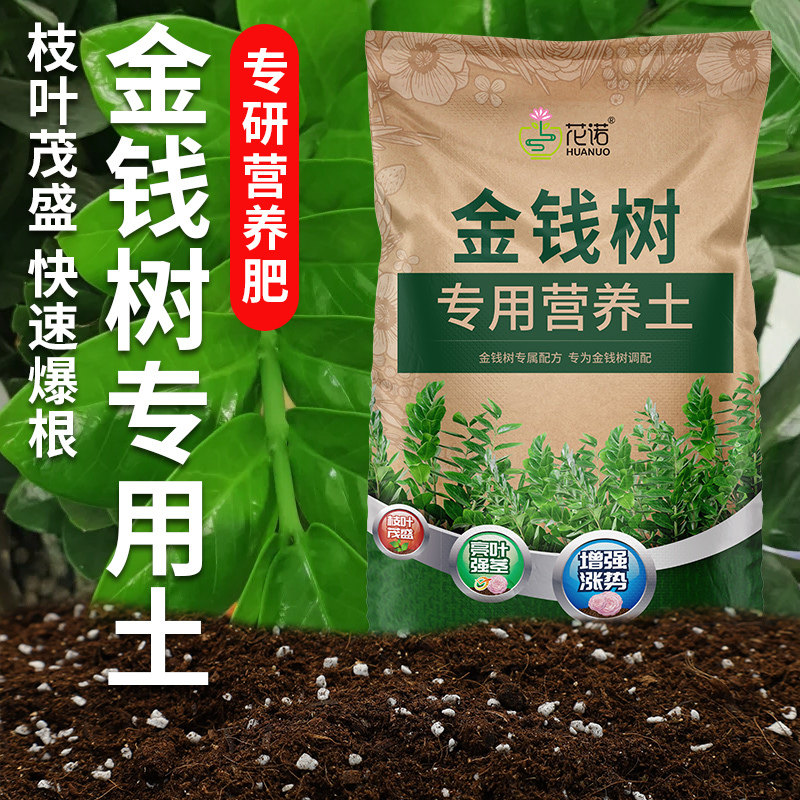 种金钱树专用土花土营养土通用金钱树肥料专用肥盆栽泥土种植土壤