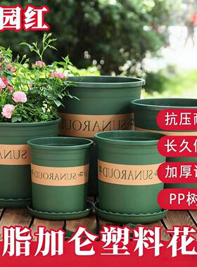 严选塑料花盆桌面式阳台绿萝盆栽