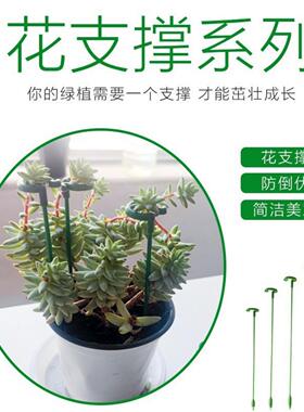 蝴蝶兰花架杆居家支架植物盆栽