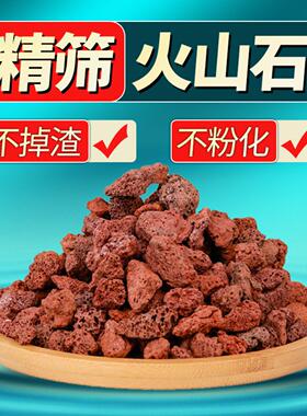 红色火山石头火山岩水族造景多肉