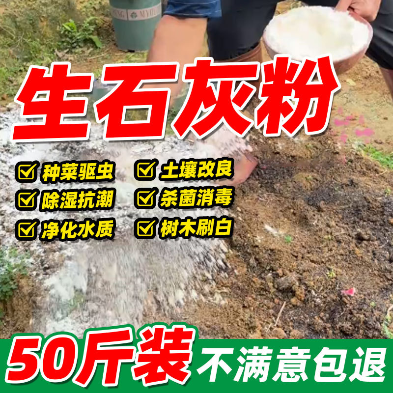 种菜生石灰粉非消毒剂非杀虫剂干燥剂改鱼塘良土壤石灰块除湿刷墙