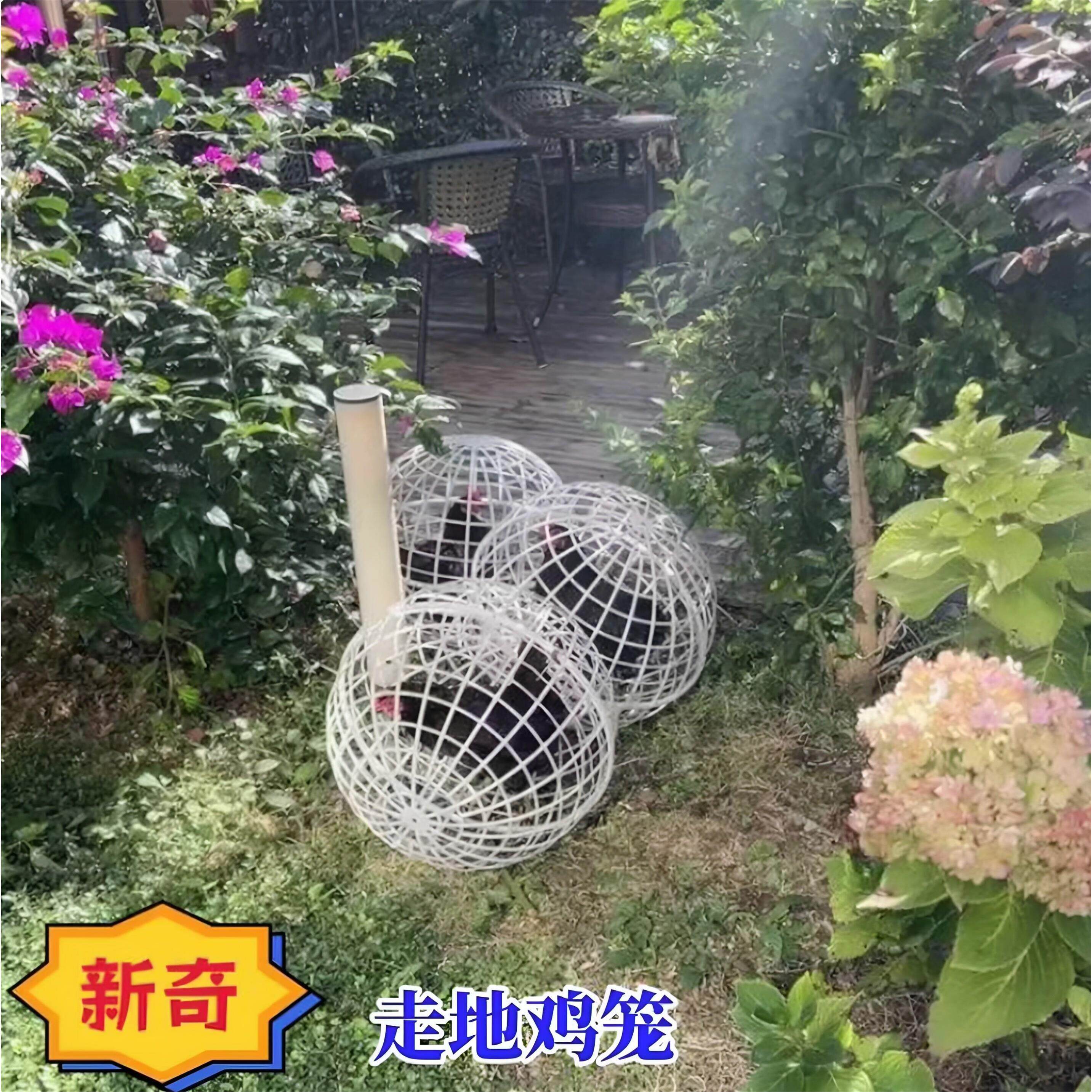 网红走地鸡笼子塑料球形