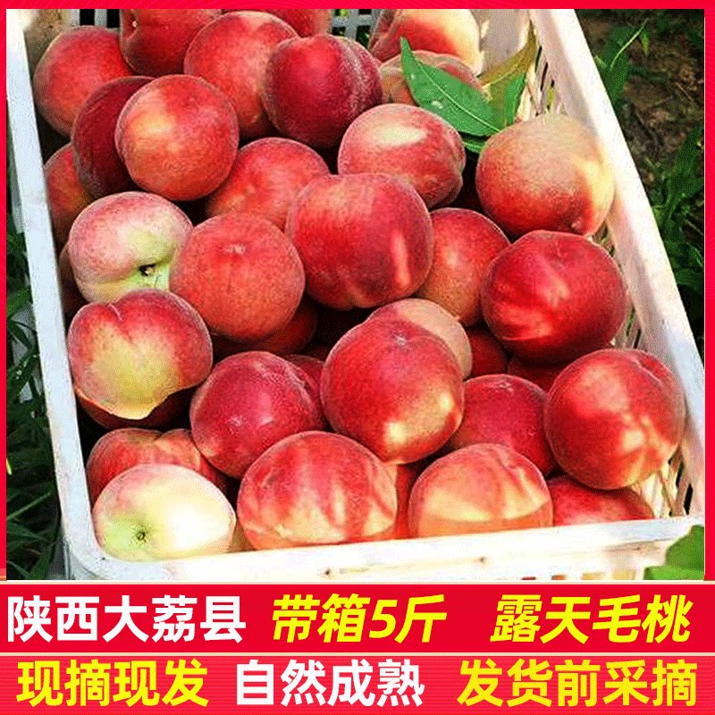 陕西大荔县甜桃毛桃桃子新鲜水果桃