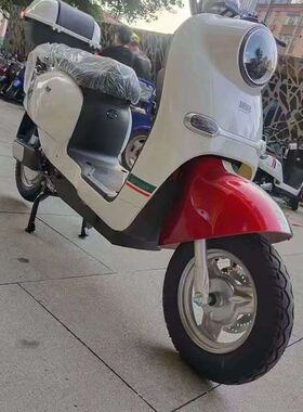 适用爱玛悦宝Q161台铃GC8小刀DK18电动车铝靠背短扶手裕隆M9后货