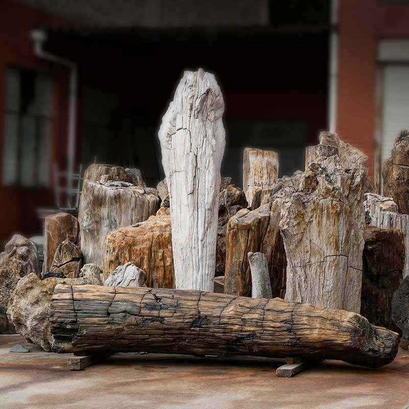树木化石超大园林景观石 庭院景区草坪造景化石大摆件自然风化石