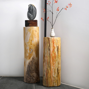 天然树化石柱子花架落地摆件木化石玄关装饰架子石柱家居现代镇石