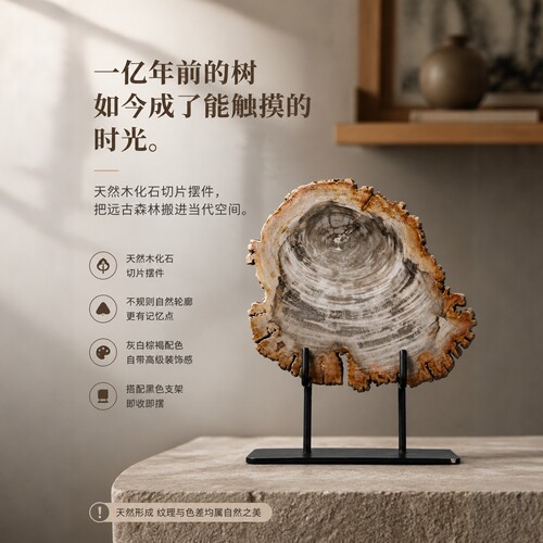 样板间北欧风格软装木化石