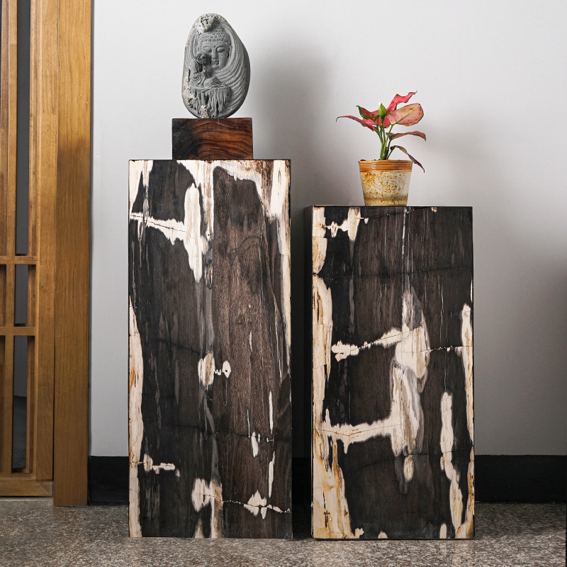 寓石林木化石展示台简约黑白纹理