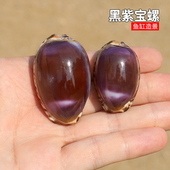 紫色宝螺天然稀有海螺贝壳标本收藏鱼缸水族造景装 饰墙贴橱窗设计