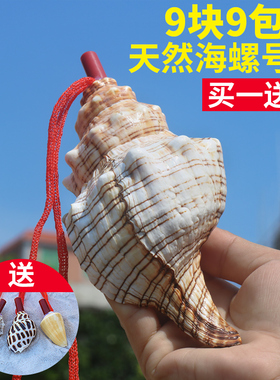 【螺贝艺】天然海螺号喇叭口哨超大海螺壳贝壳哨子儿童玩具小螺号