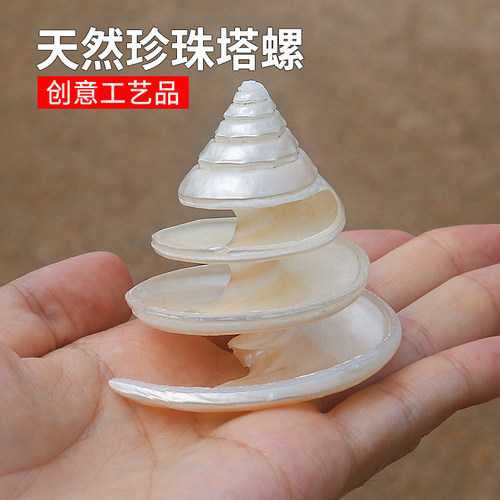天然贝壳小海螺珍珠荧光家居收藏