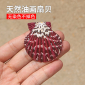 天然小海螺贝壳油画扇贝墙贴婚庆装 饰鱼缸水族箱造景收藏彩色扇贝