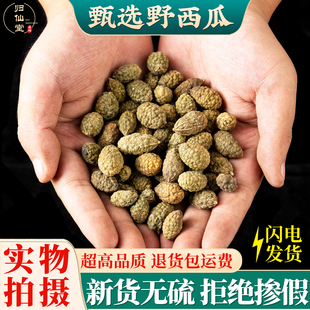 腰腿关节打粉 包邮 新疆特产野西瓜野生小西瓜正品 中药材泡酒料500g