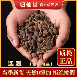 青翘黄翘老翘泡茶泡水500g克荆芥 连翘中药材金银花茶秦岭野生正品