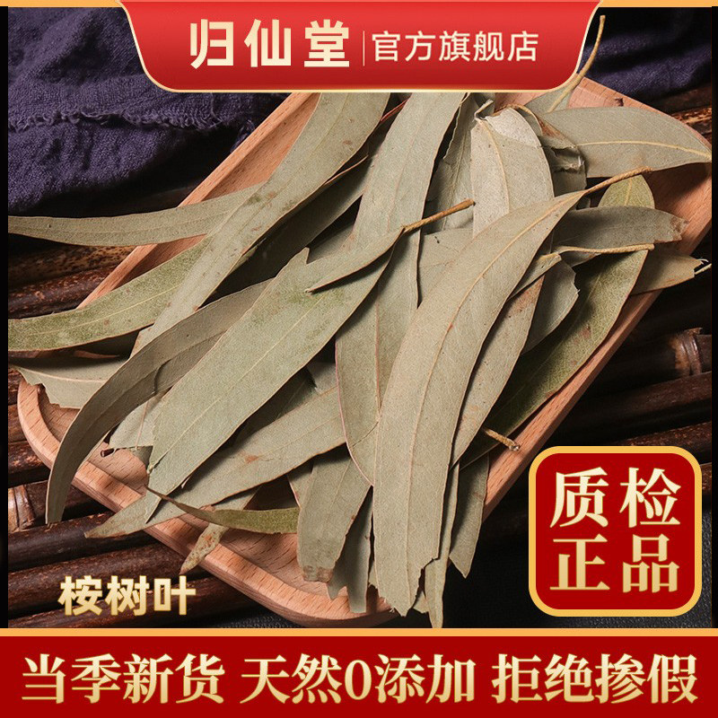 桉树叶500g中草药小桉树大叶中药材按树叶子干尤加利树叶桉叶安叶