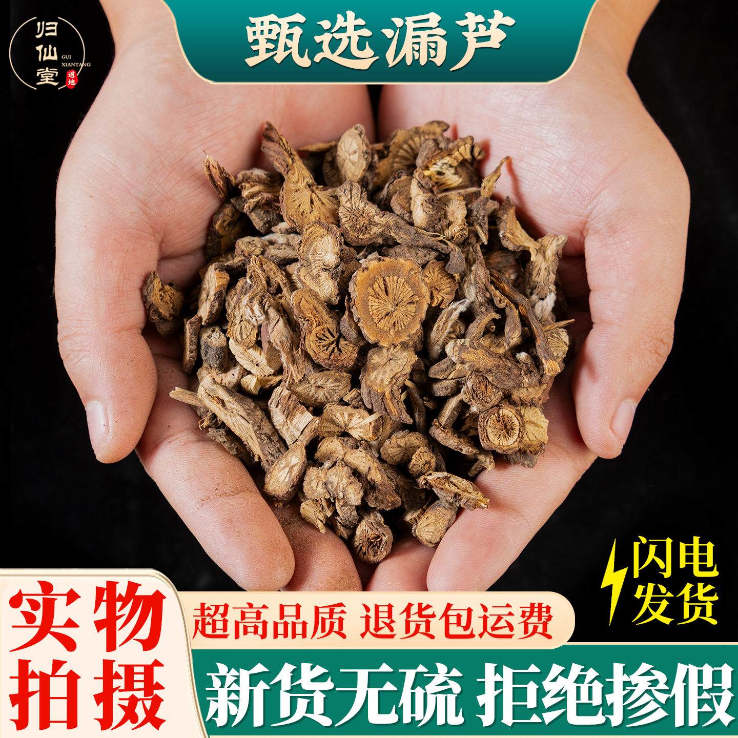 精选正品漏芦500g新货