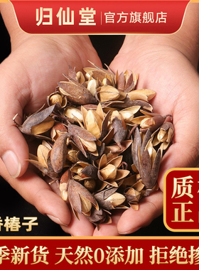 香椿铃中药材500g正品香铃子香椿籽 香椿子 香春铃 香椿树果实