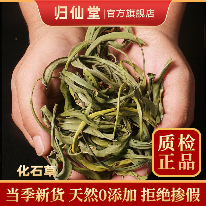 精选正品化石草500g新货