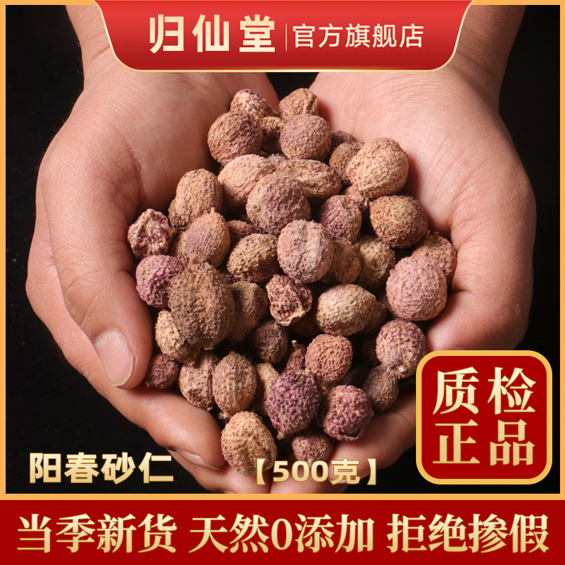 阳春春砂仁500g春砂仁野生春沙仁干果阳春特产中药材养胃煲汤蒸肉