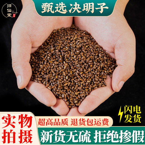 精选正品决明子茶500g