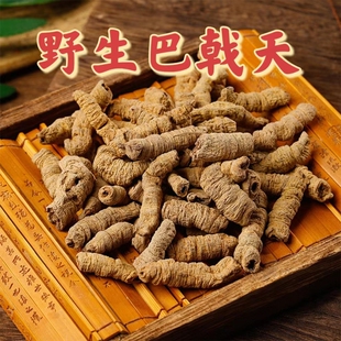 野生巴戟天 深山正宗特级男性滋补药材配锁阳苁蓉淫羊藿泡酒煲汤