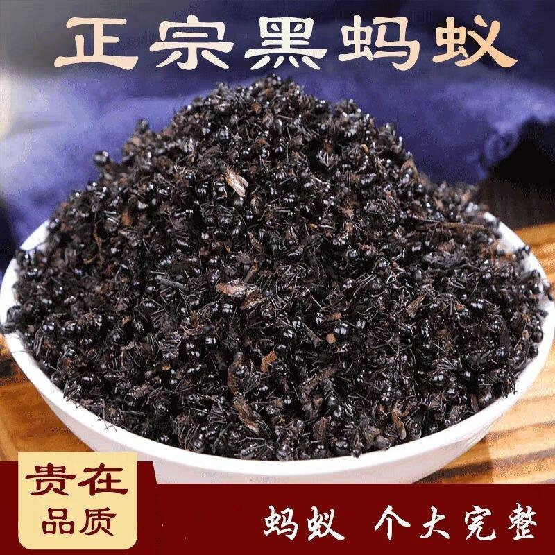 黑蚂蚁长白山野生黑蚂蚁干一袋250克泡酒料中药材泡酒