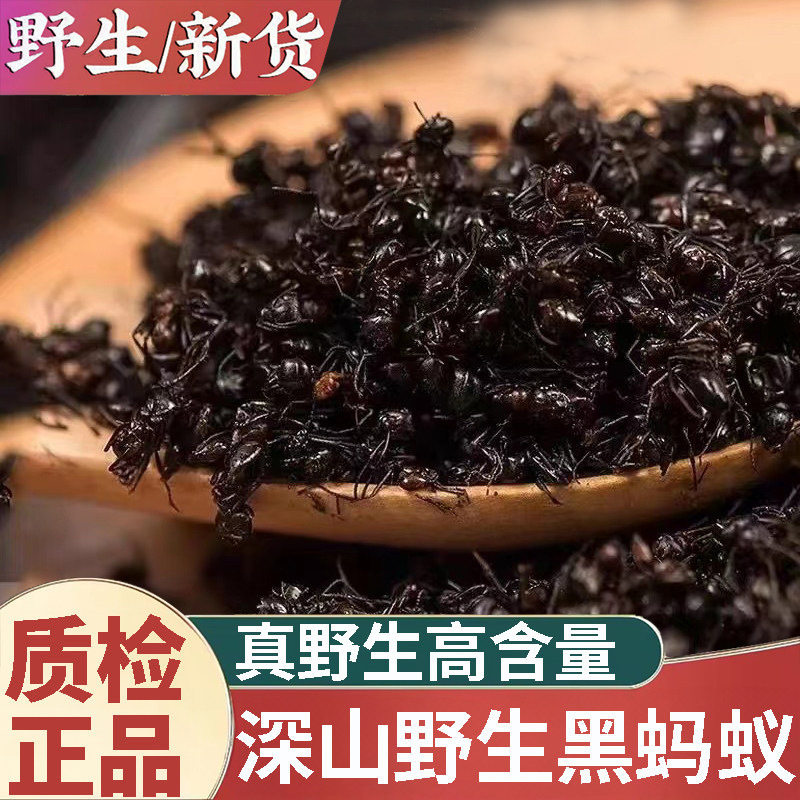 广西横县野生大黑蚂蚁干正品拟黑多刺蚁黑蚂蚁可食用泡酒料可