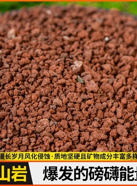 兰花红色颗粒花底砂优质山石火火红养铺面专用环保天然石多肉山岩