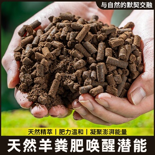 蒙古肥料基肥纯内生物发酵菜羊粪花卉绿植蔬盆栽专用有机种植羊粪