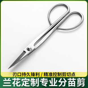 盆栽花摘分苗盆景工具葡萄剪剪刀小叶芽专用花芽兰剪水果修枝芽采