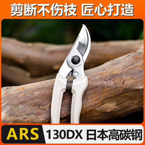日本剪刀剪枝剪ARS果树