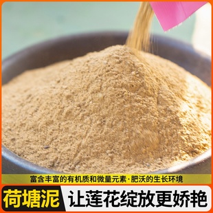 培土水生土方块天然碗莲花通用塘荷型荷花养肥土泥土淤泥睡莲营水