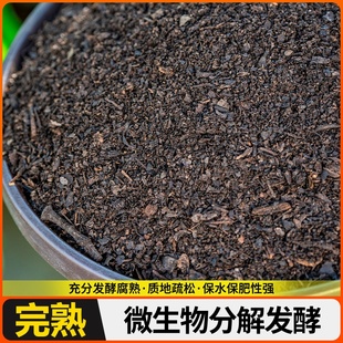 土君子兰酸性松叶营养土腐兰花种植橡东北专用正真树叶腐殖橡叶叶