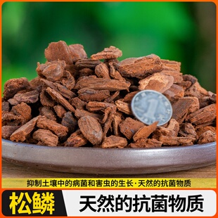 松君子兰盆栽树皮松鳞蝴专用兰石斛绿植发酵栽培腐熟花卉蝶兰植料