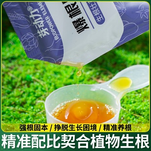 根系生根蔬环保菜长猛安全生根强力液花肥液营养花卉剂果树快速