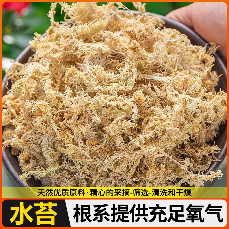 植物土水保湿苔藓透气蝴保毛乌龟蝶苔毛虫兰专用红草兰花冬眠湿水