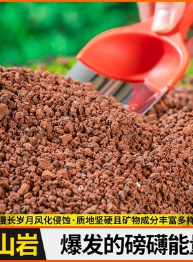 山岩红色水族鱼山石环鹦鹉造景罗汉铺底假山滤材火大块培菌过滤火